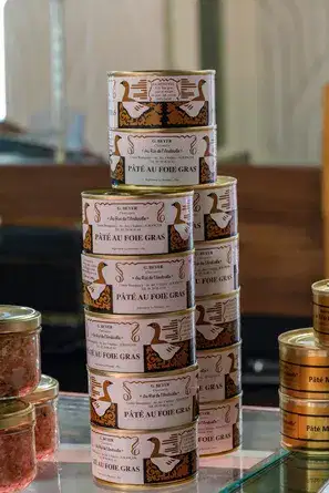 Converses maison à Jurançon Pau